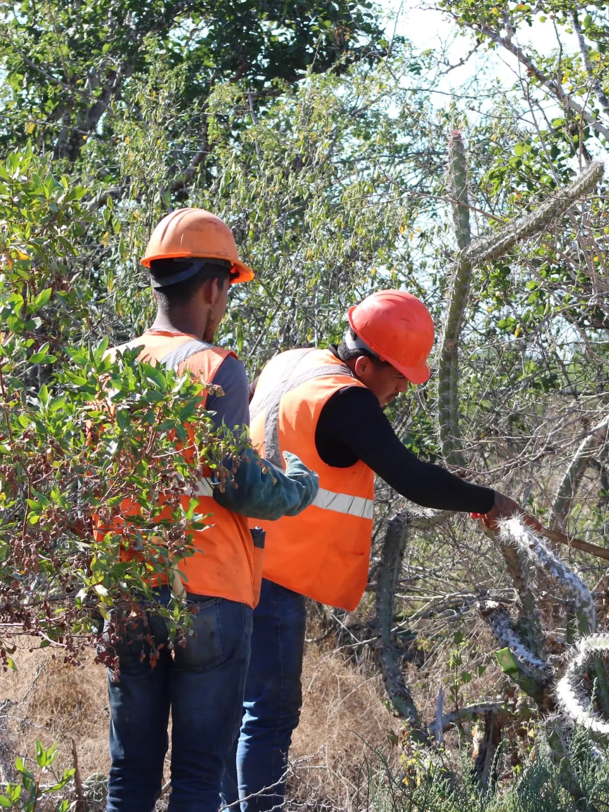 Equipo en terreno