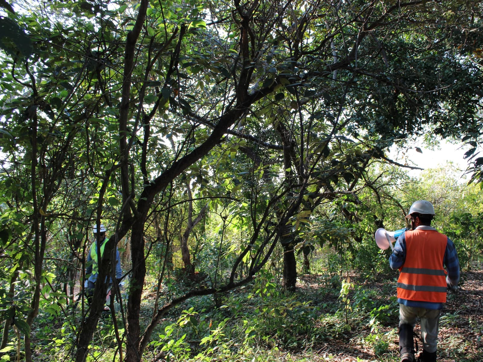 Gestión ambiental