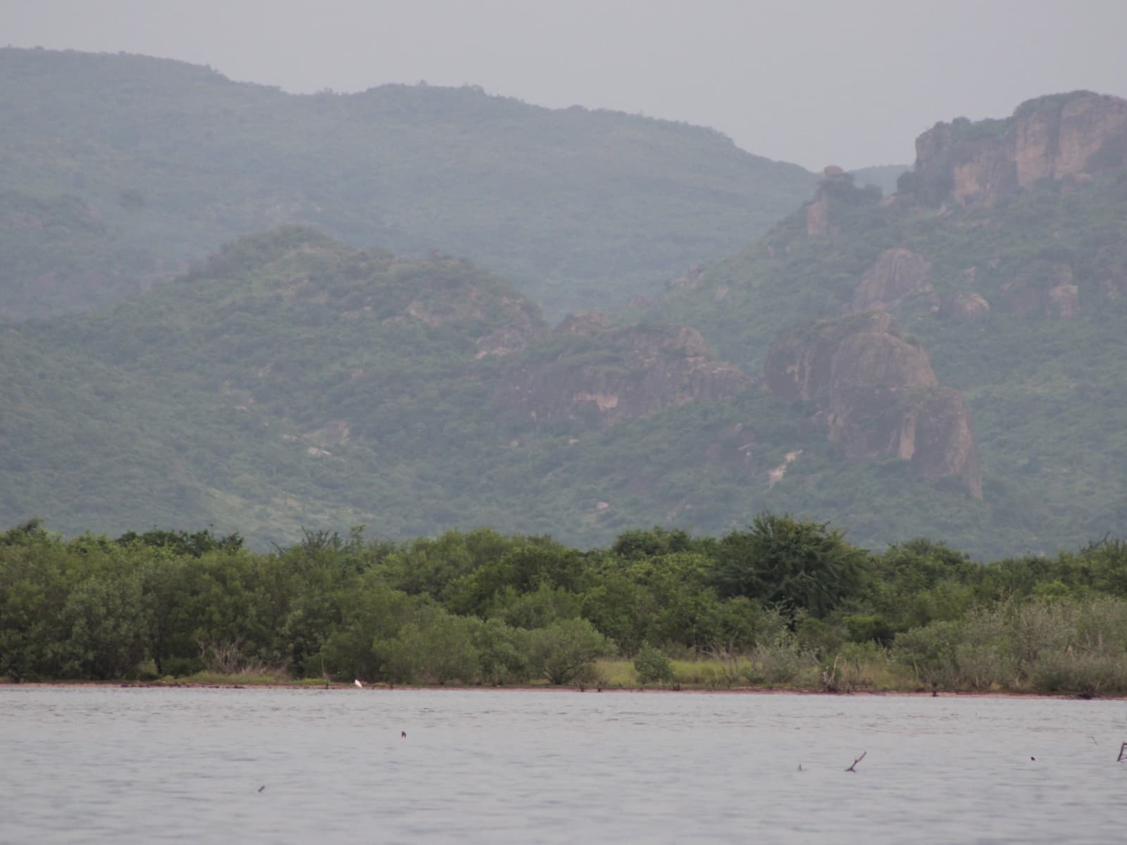 Paisaje natural relacionado con servicios de medio ambiente